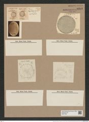 Stephanopyxis coronae var. monicae Grun. (de-Toni-Nr.: Genus 187, Species 4632) Zeichnungen Sammlung Grunow Nr. 8283 (NHMW-BOT-W0377681)